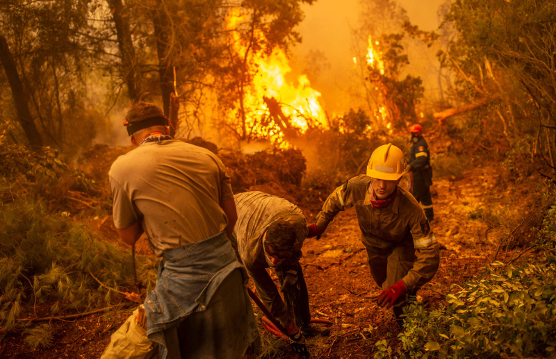 Orman yangınları 2022de de devam edecek mi? Türkiyeyi gelecekte ne bekliyor? İşte en riskli bölgeler
