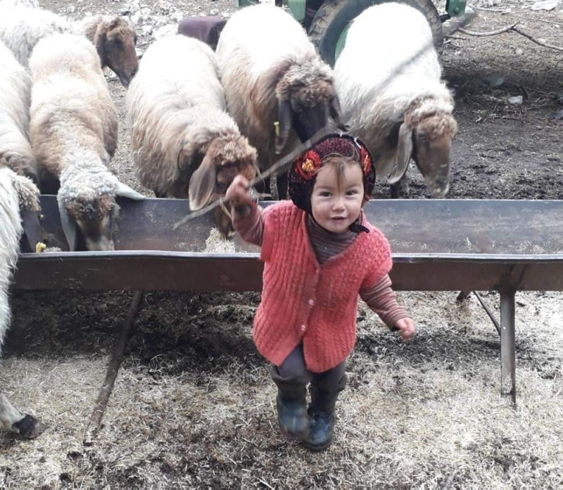 Müge Anlıda aranan Müslüme ile ilgili korkutan iddia! “Biri almış götürmüş...”
