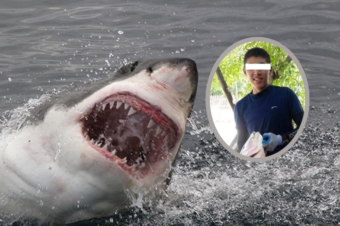 Köpek balığı saldırısından bakın nasıl kurtuldu! Sosyal medya 14 yaşındaki bu çocuğu konuşuyor