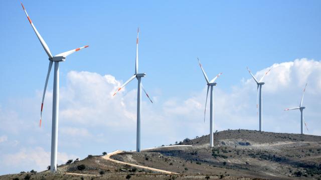 Türkiyeden rüzgar enerjisiyle elektrik üretiminde rekor: Bakan Fatih Dönmez duyurdu