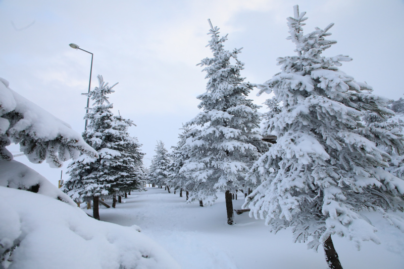 Meteoroloji yeni raporu yayınladı! Beklenen gün geldi: İstanbula kar yağacak mı? İşte 21 Aralık hava durumu