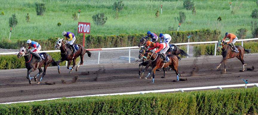At yarışları iptal mi? 25 Aralık Adana İstanbul at yarışları neden başlamadı?