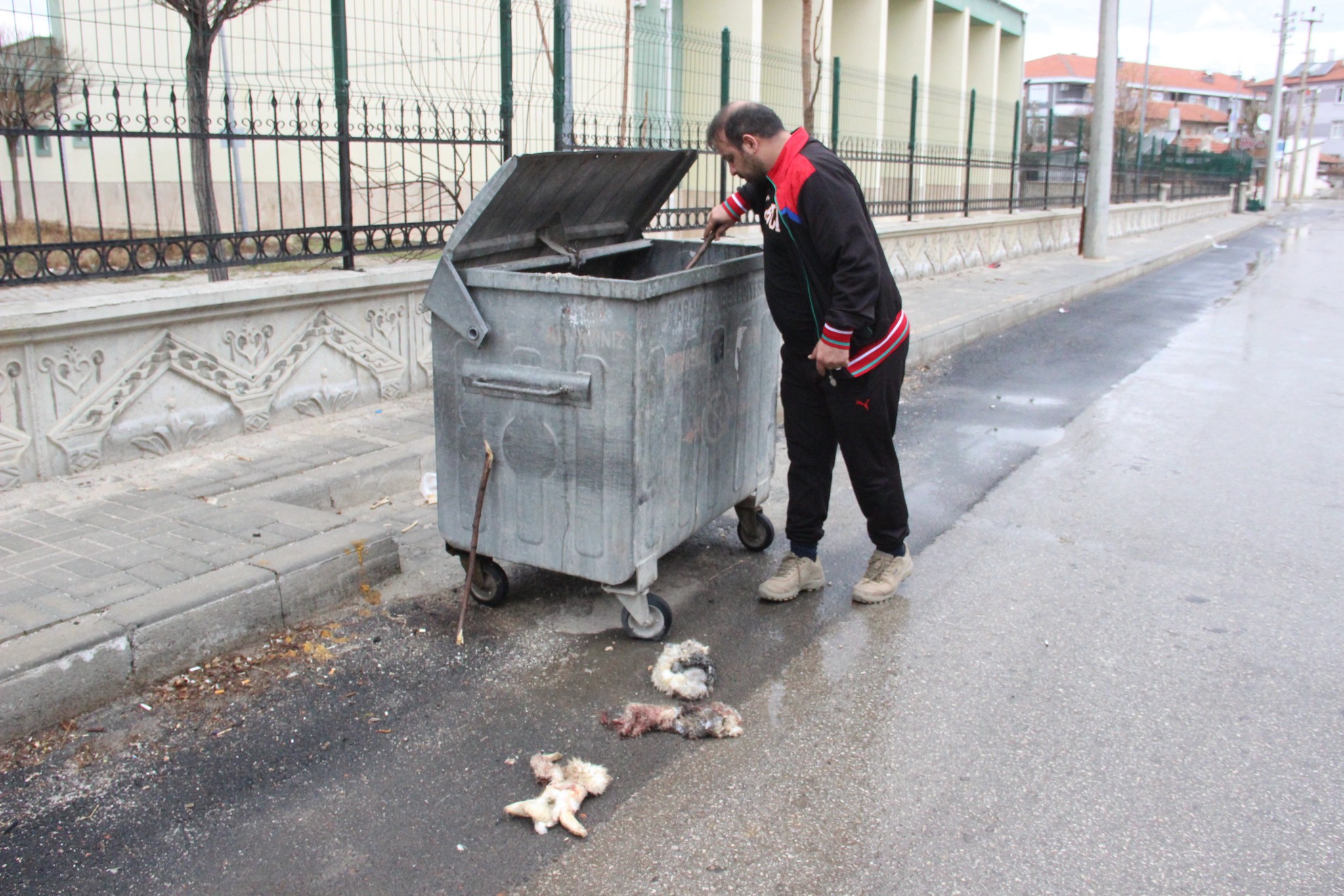 Karaman’da ‘kedilerin derisini yüzdüler’ ihbarına giden polis bulduğu karşısında şoke oldu