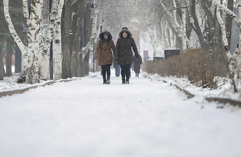 SON DAKİKA! Meteorolojiden flaş uyarı! Sıcaklıklar düşüyor kar geri geliyor! Sağanak, buzlanma, tipi... | 2 Ocak 2022 İstanbul, Ankara, İzmir hava durumu