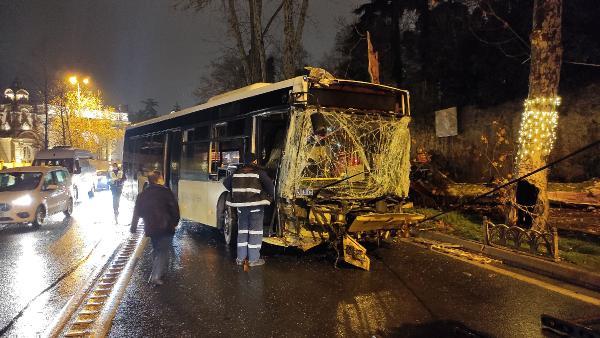 Beşiktaşta İETT otobüsü asırlık çınar ağacına çarptı