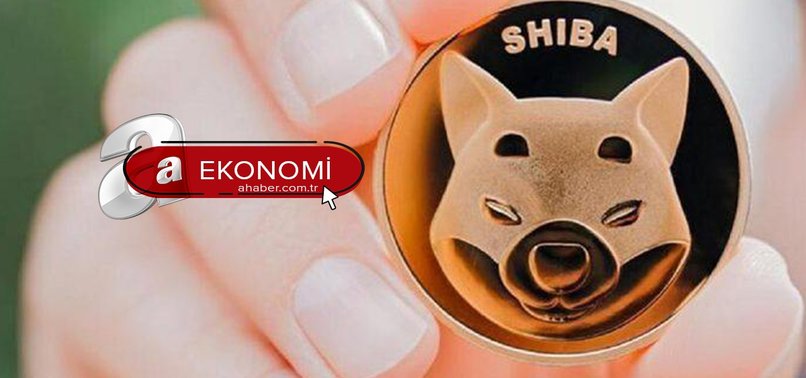 Shiba coin için kritik hafta... Shiba coin yakımı ne zaman son dakika? Shiba coin ne kadar, kaç TL?