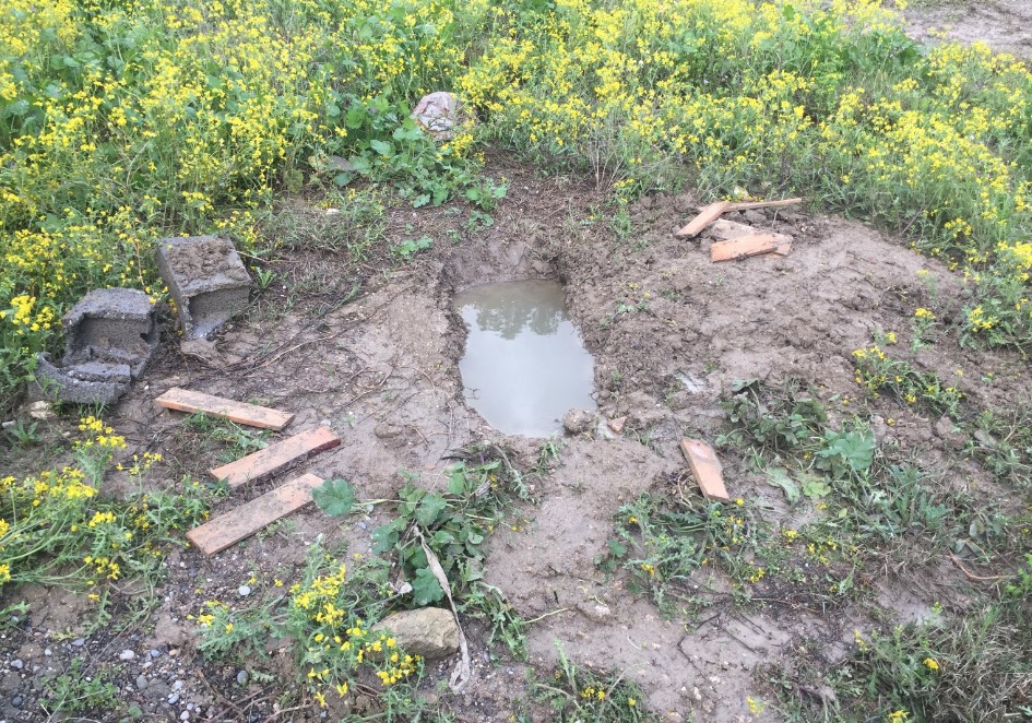 Adana’da mezarlığa gömülmüş 6-7 aylık cenin bulundu