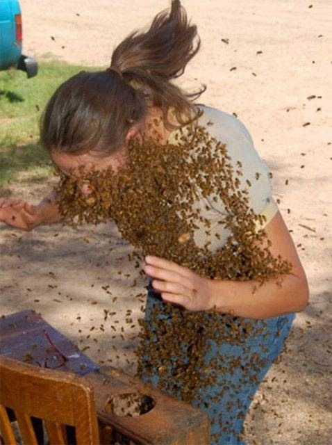 Hiç beklemediği bir anda arıların saldırısına uğradı! Genç kadın ne yapacağını bilemeden çığlık çığlığa koşmaya başladı