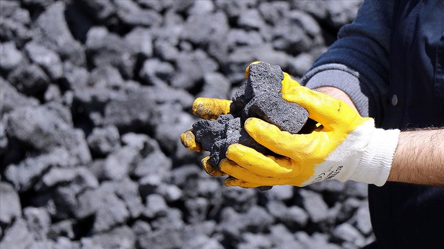 Polonyadan Rus kömürüne yasak
