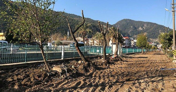 CHPli belediyeler katliamlara devam ediyor! Fethiye Belediyesi Altın değerindeki ağaçları söktü