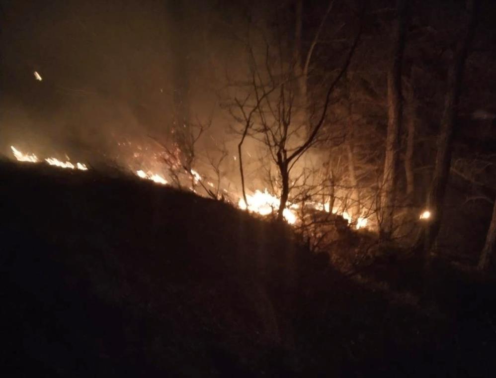 Son dakika: Osmaniye’de orman yangını