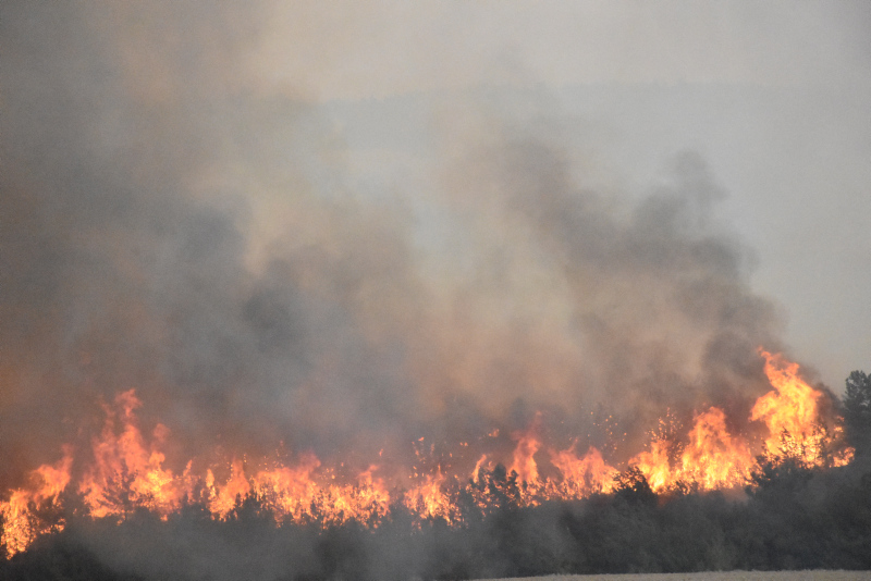 Türkiyenin ciğerleri yandı! 4 ilde çıkan orman yangınları saatler sonra kontrol altında