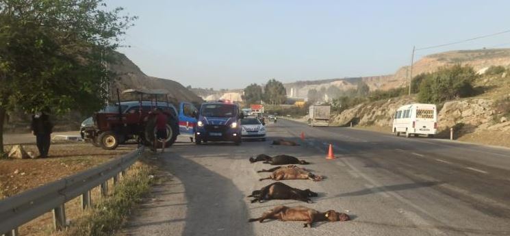 Mersin’de tarım işçilerini taşıyan minibüs sürüye çarptı! 15 küçükbaş hayvan telef oldu