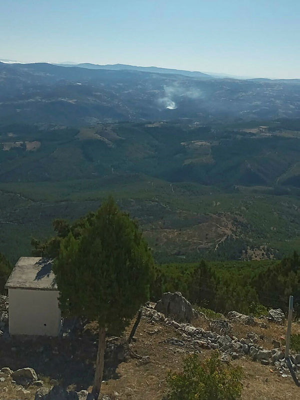 Son dakika: Manisa'da orman yangını! Havadan ve karadan müdahale ediliyor - 1