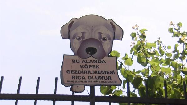 istanbulda-vahset-parkta-oynayan-cocuga-pitbull-saldirdi-1658819527496.jpg İstanbul’da vahşet! Parkta oynayan çocuğa pitbull saldırdı - 5
