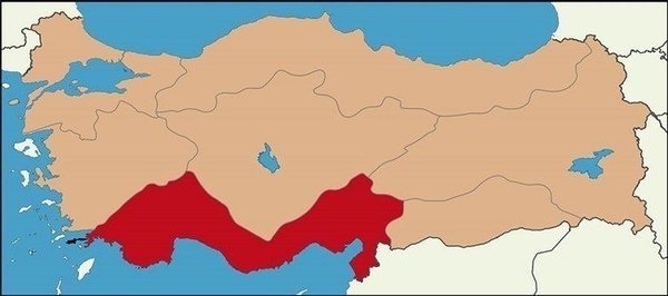 Son dakika: Hava durumu nasıl olacak? Turuncu alarm! AFAD'dan uyarı - 8