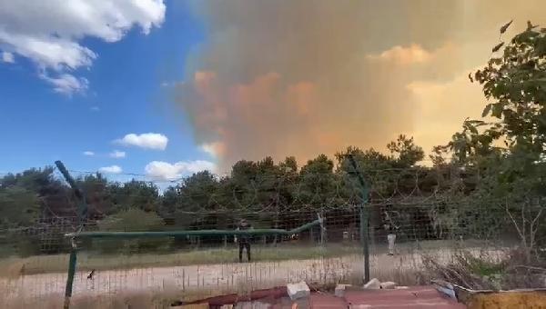 Son dakika: İstanbul'da orman yangını! Çok sayıda ekip sevk edildi - 5