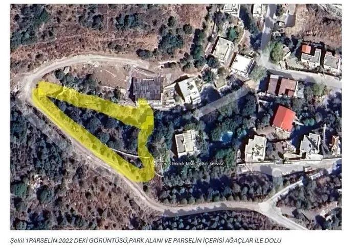 Sözde çevresi Suavi’nin ağaçları katledip diktiği villalar ( A Haber arşiv)