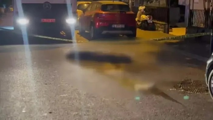 Die unglückliche Frau starb noch am Unfallort