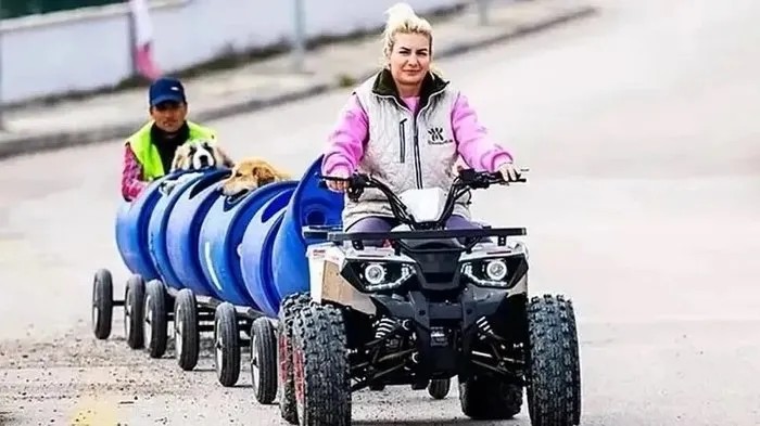 Köpek Velisi takma ismiyle tanınan Yaşama Tutunan Patiler Derneği Başkanı Buket Özgünlü Boyacı