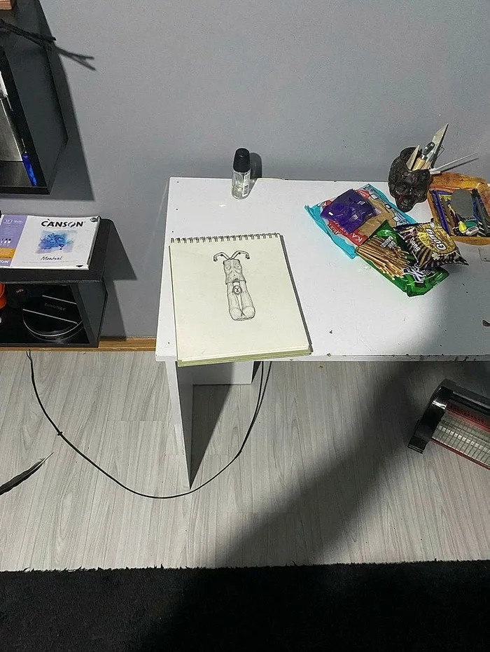 Semih Çelik'in evinden çıkan çizim (İHA)