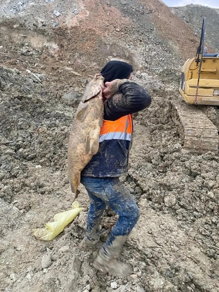 (foto: ahaber.com.tr ARŞİV)