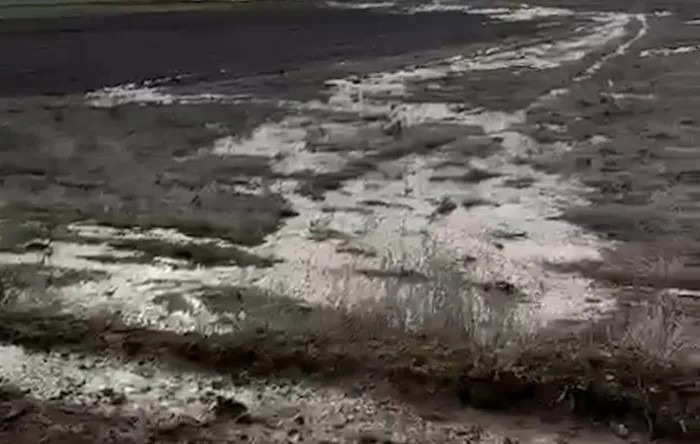 (Foto: ahaber.com.tr ekran görüntüsü)  