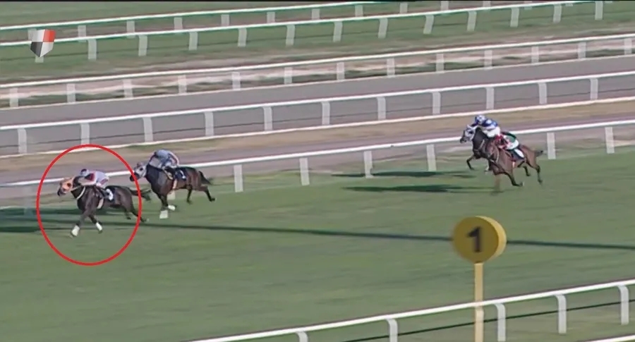 (Foto: ahaber.com.tr ekran görüntüsü) Şampiyon at Smart Latch kavurma olmuştu