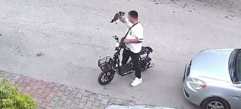 Yavru kediyi önce öptü sonra elleriyle boğdu! O anlar kamerada - 1