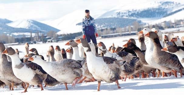 Ankara-Kars arası Doğu Ekspresi seferlerine görülmemiş ilgi