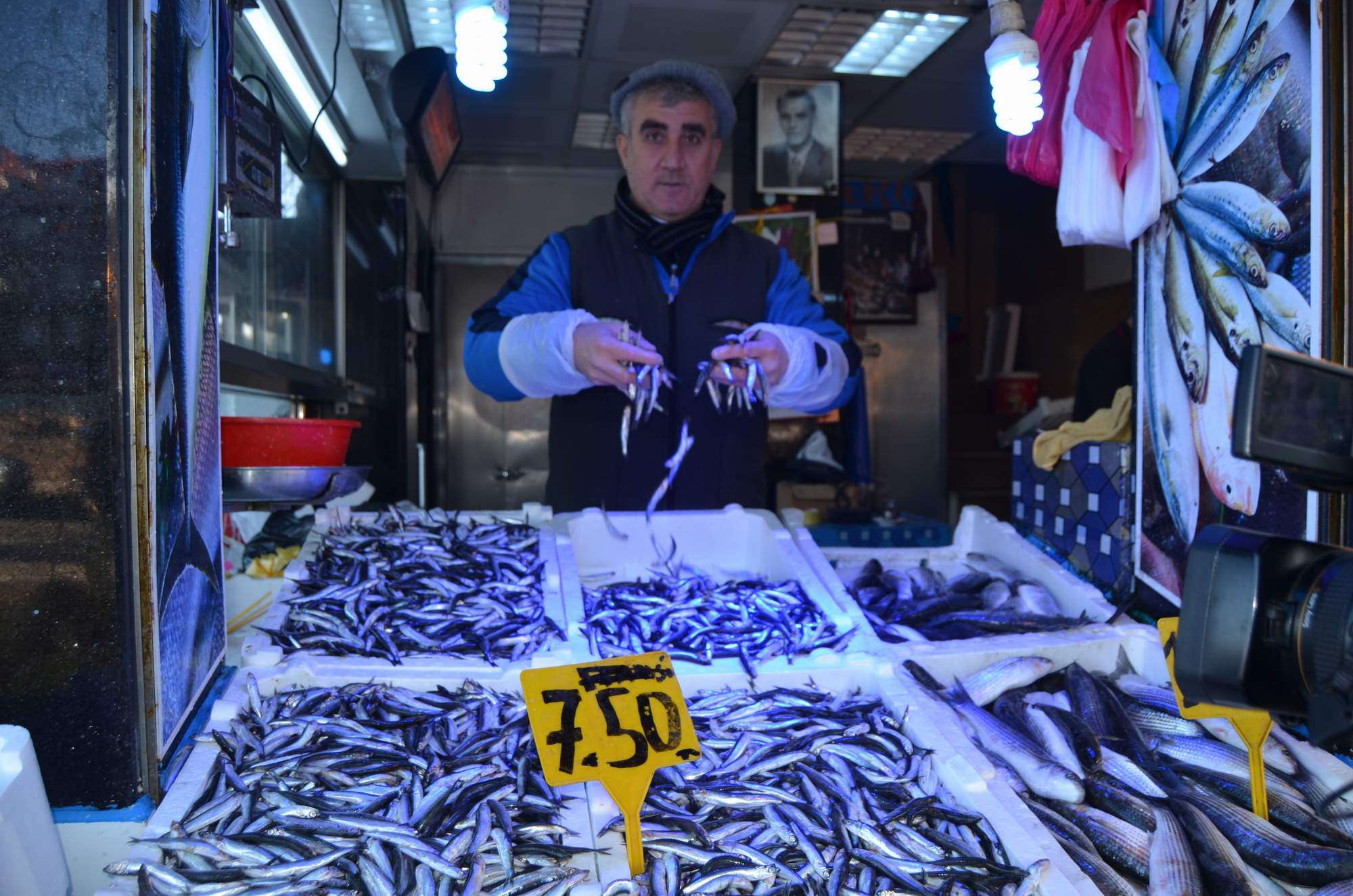 Hamsinin fiyatında büyük düşüş