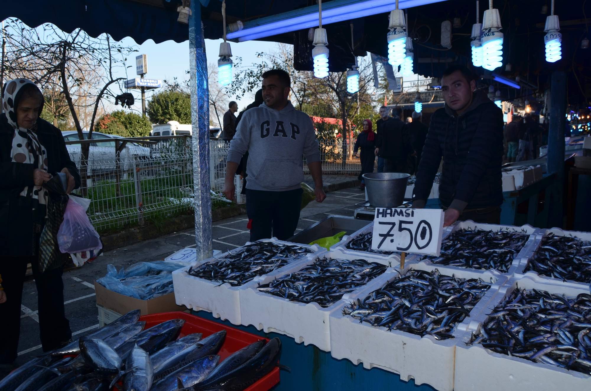 Hamsinin fiyatında büyük düşüş