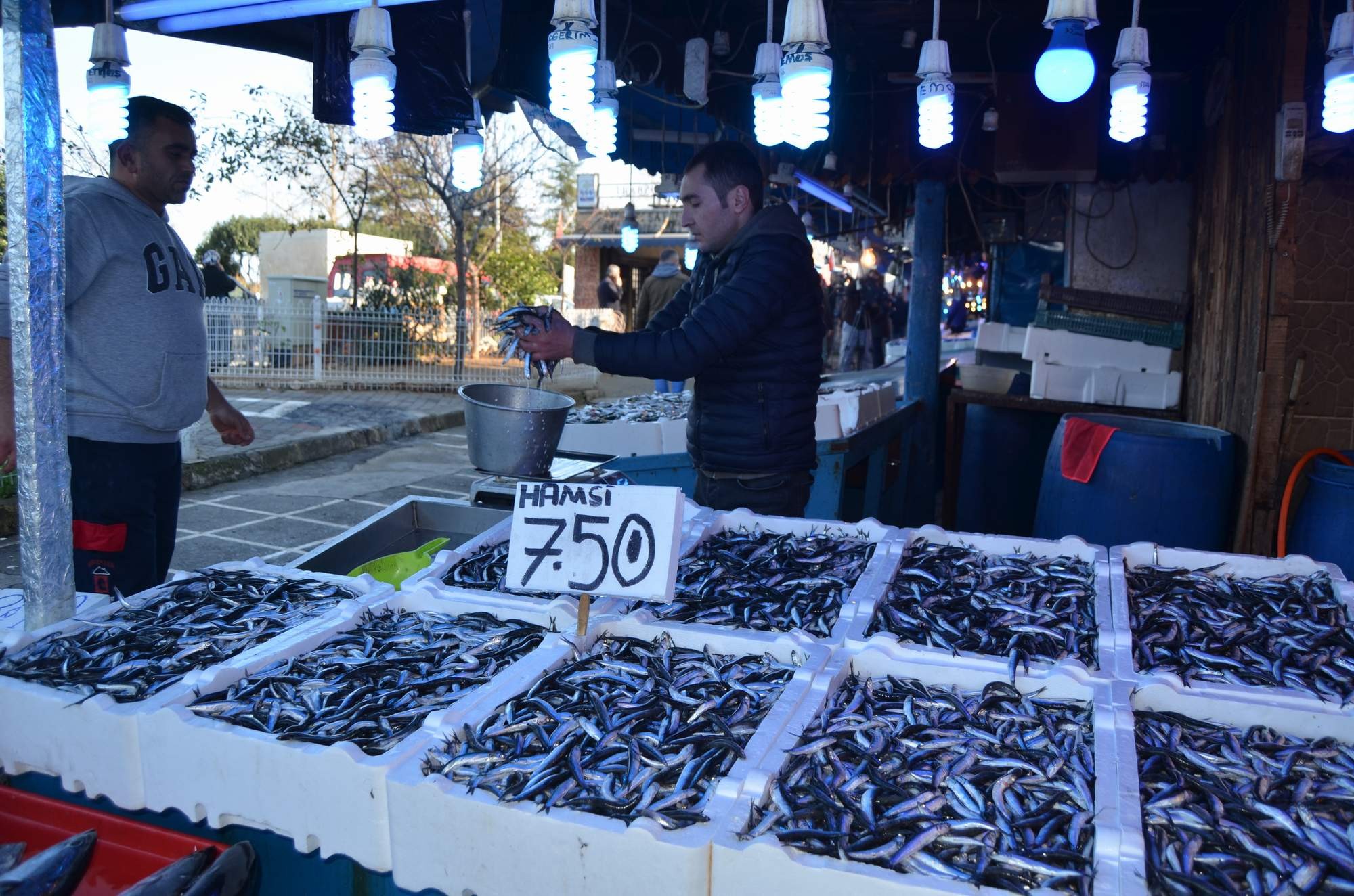 Hamsinin fiyatında büyük düşüş