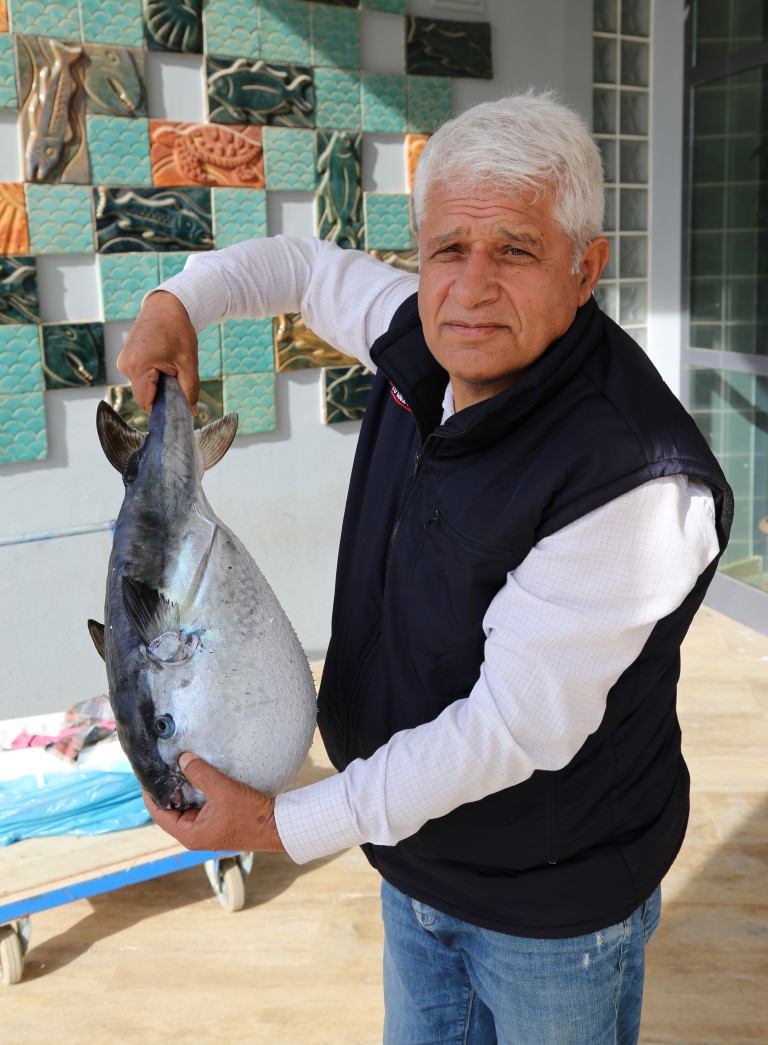 Antalya'da ilk kez okyanus balon balığı görüldü - A Haber ...