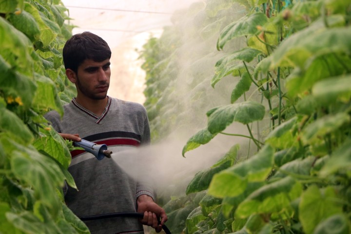 Zam şampiyonu salatalık Mersin’de 1 İstanbul’da 8 lira...