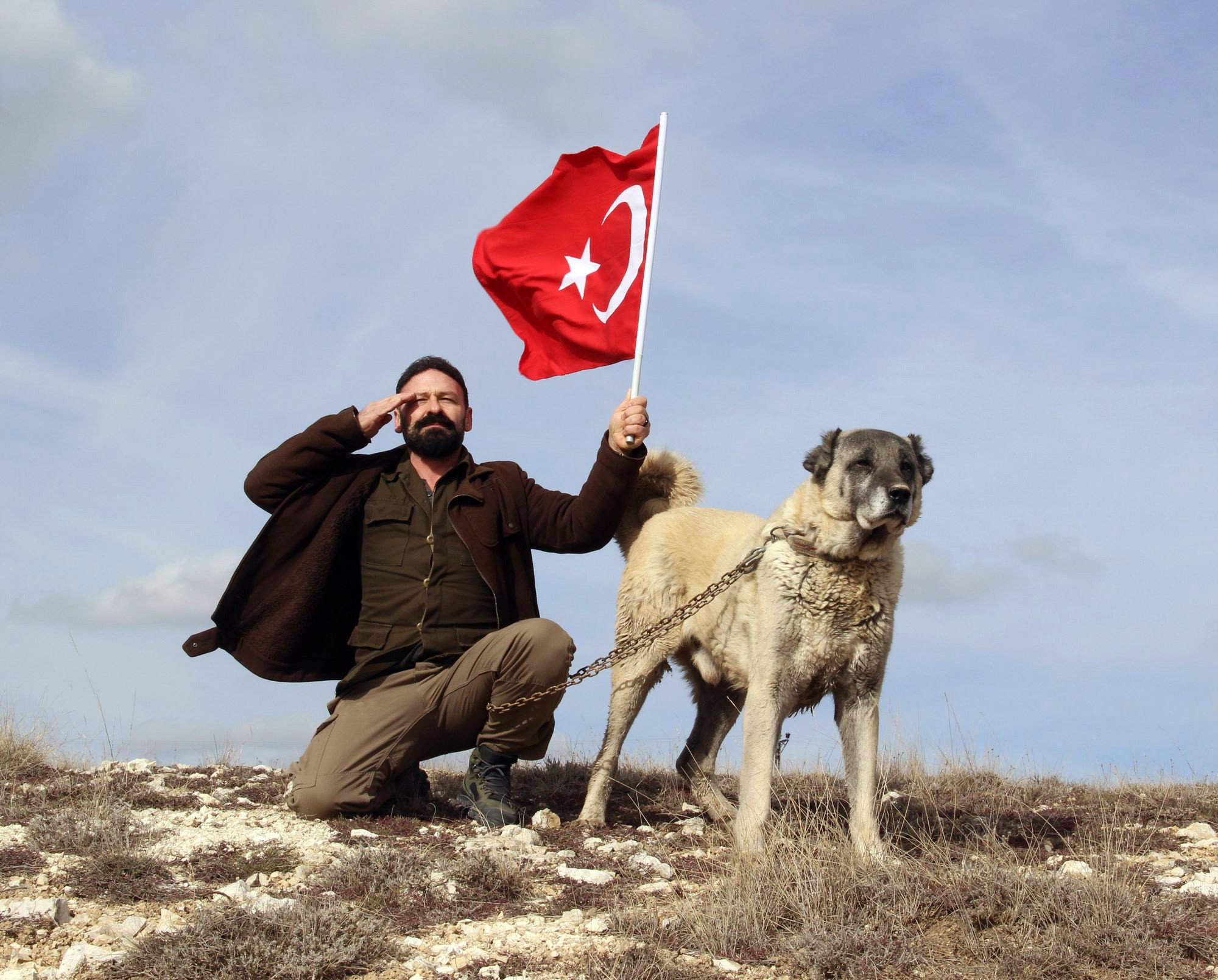 Kangal köpekleri Afrin’e gidiyor
