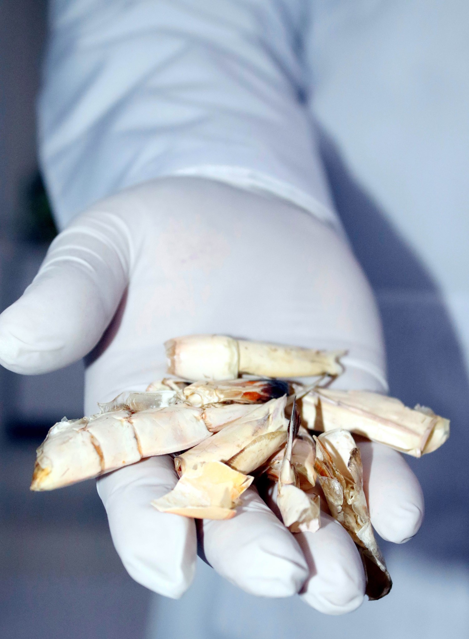 Türk kimyagerler, Mehmetçik için kanı durduran sargı bezi, yaraları iyileştiren jel üretti