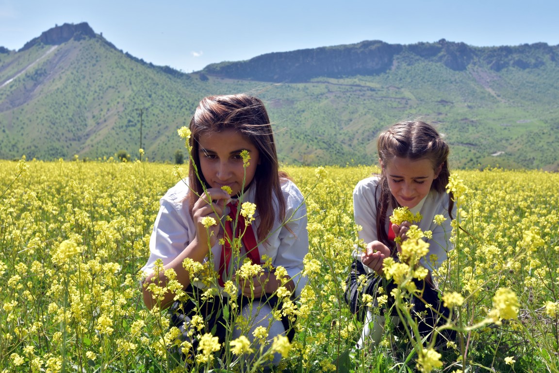 Teröristlerden temizlenen Balkaya Dağları rengarenk
