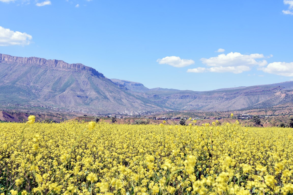 Teröristlerden temizlenen Balkaya Dağları rengarenk