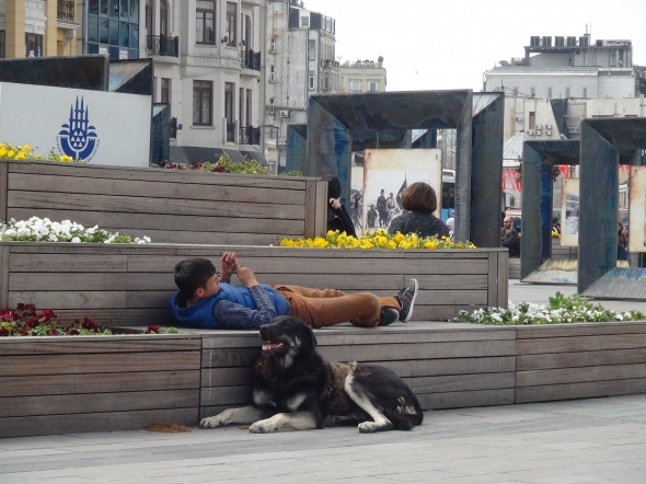 İstanbul’un göbeğinde görenleri duygulandıran kare