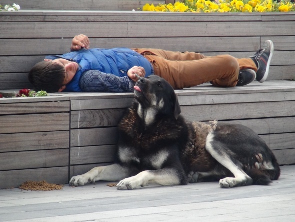 İstanbul’un göbeğinde görenleri duygulandıran kare