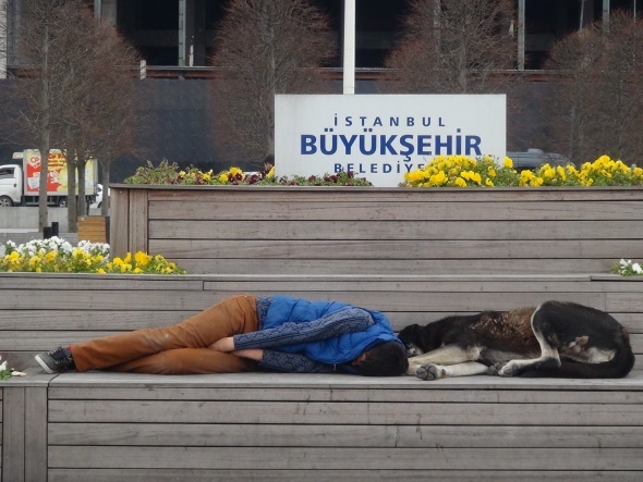 İstanbul’un göbeğinde görenleri duygulandıran kare