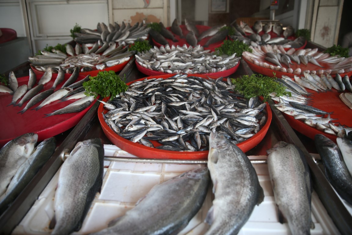 ’Fırat’ın balıkları yurt dışına satılıyor