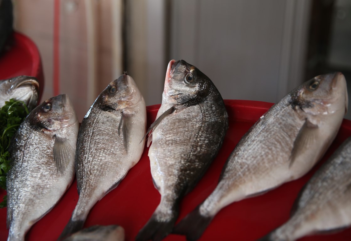 ’Fırat’ın balıkları yurt dışına satılıyor