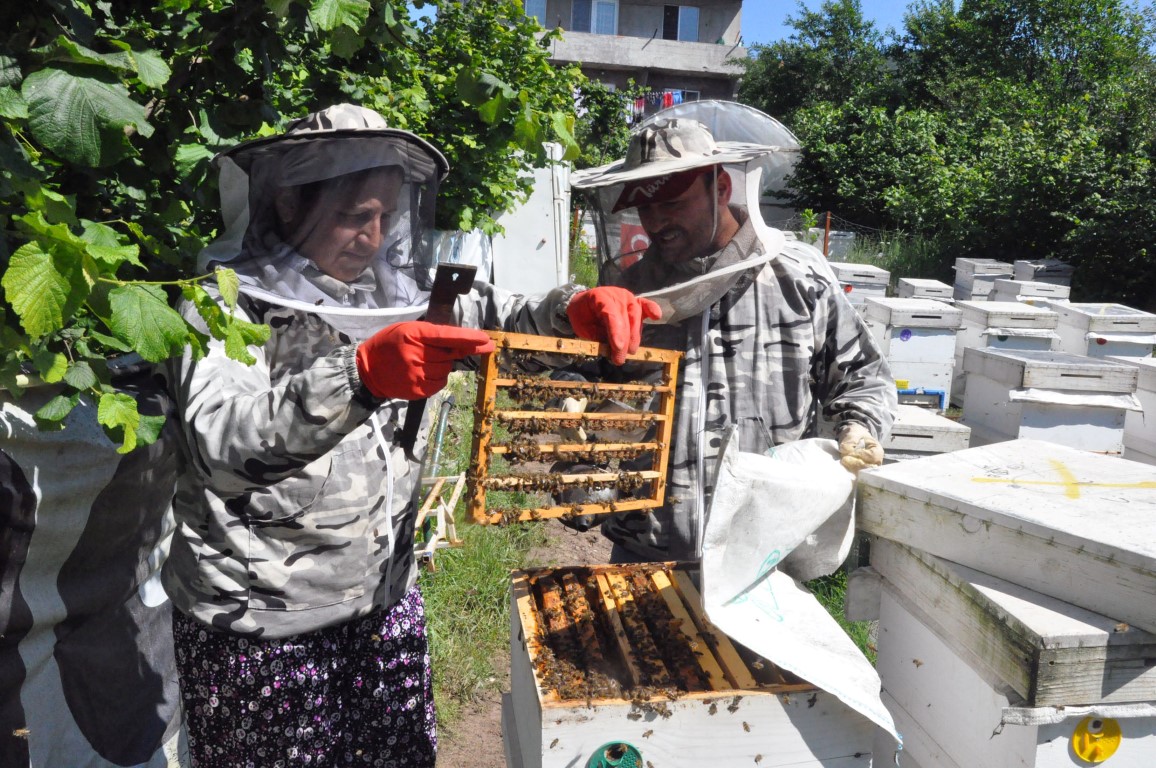 Kadın girişimci ’arı sütü’ siparişlerine yetişemiyor