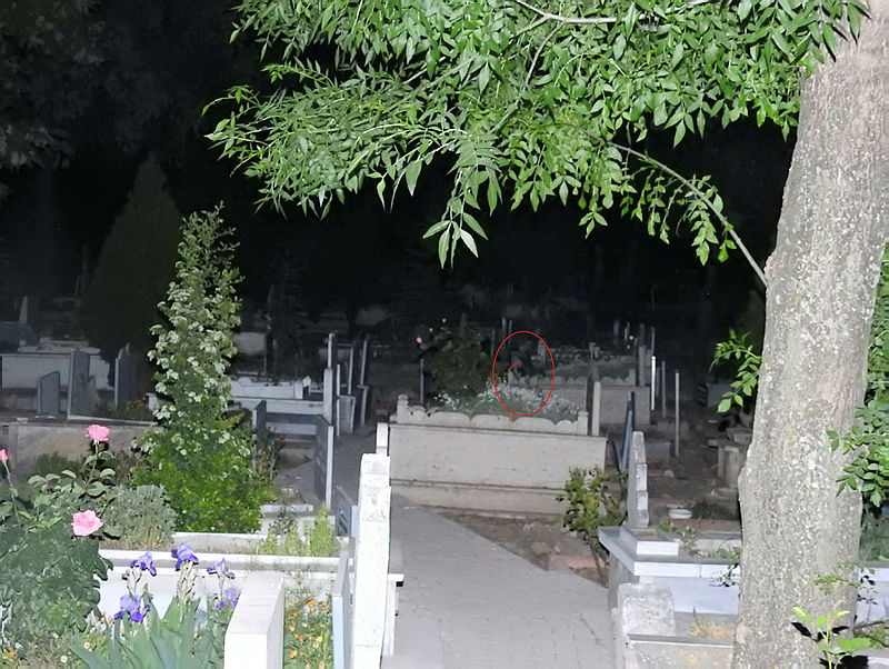 Çorum’da mezarlıkta ağlayan kızın ailesi konuştu