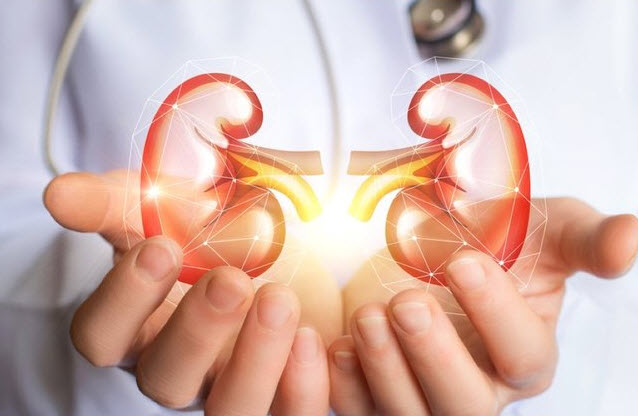 Böbrek sağlığı için birebir...