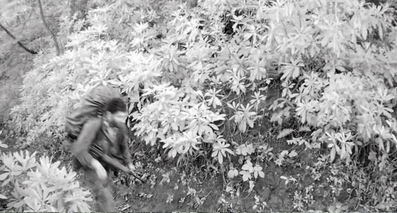 Giresun’da fotokapana yakalanan teröristin sarı eldiveninin sırrı çözüldü