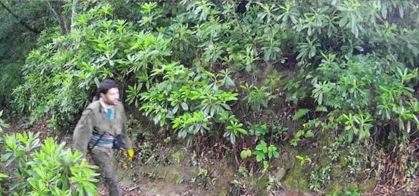 Giresun’da fotokapana yakalanan teröristin sarı eldiveninin sırrı çözüldü