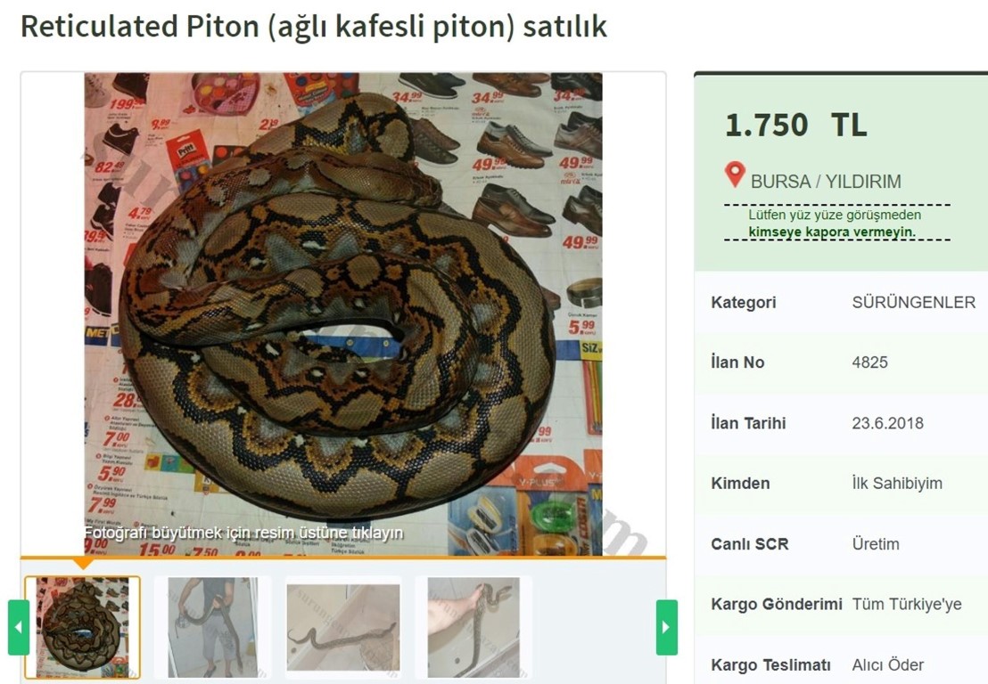 Питон конспект. Джоин в питоне. Питон руна. Коллекции в питоне. Питон руны.